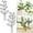 2 Pack, variant on Trellis for Potted Plants-Small Garden Trellis for Houseplant Pots Outdoor DIY Flower Pots Support Flower Pots Supports for Houseplant Home Climbing Plants Indoor (4 Pack)