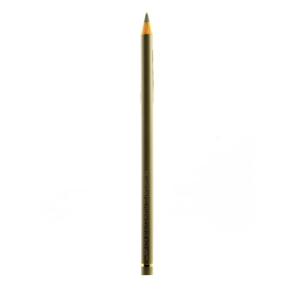Polychromos Artist Colored Pencils (Each) warm grey III, 272 (pack of 12)