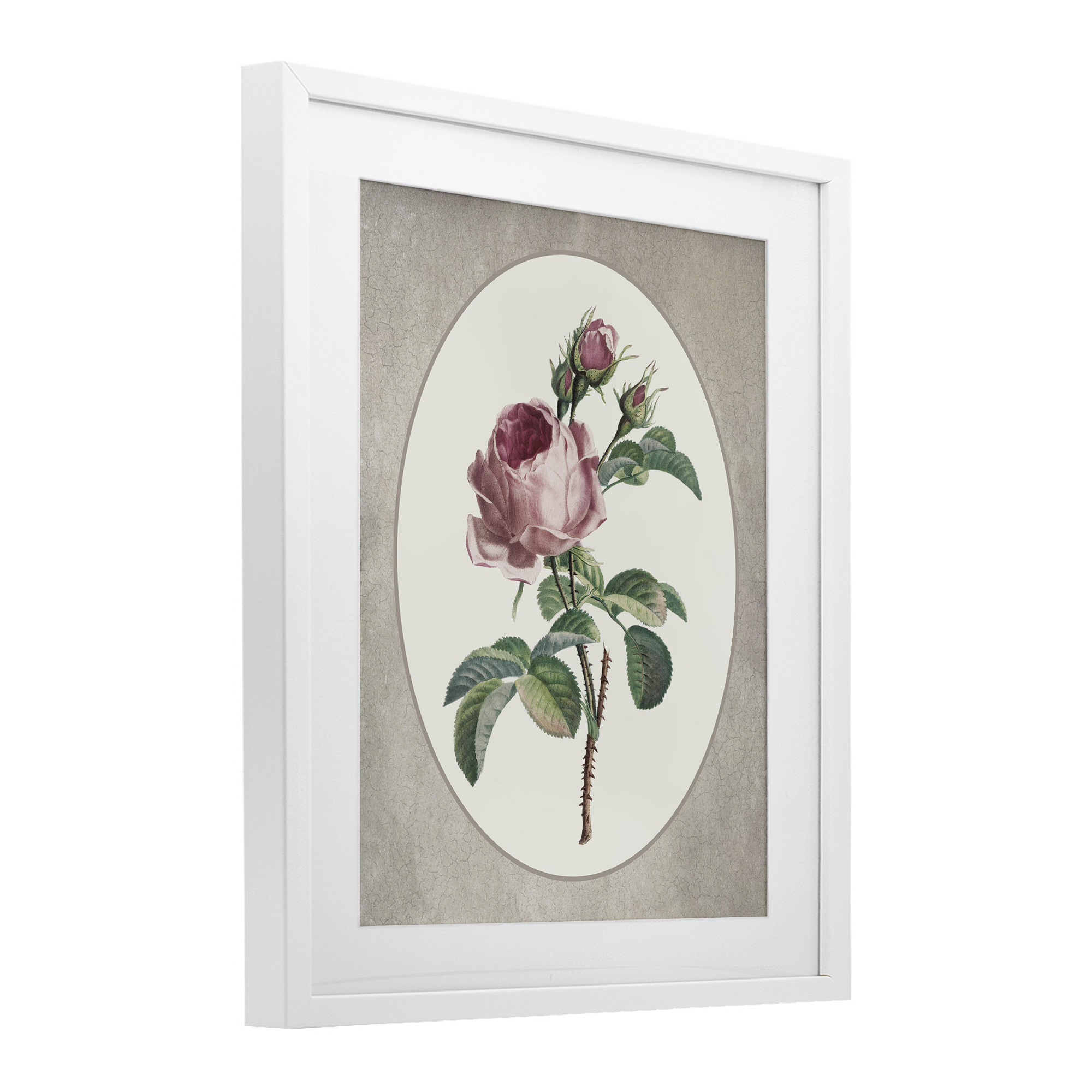 Vintage Rose within Oval White Framed Print Under Glass, design by Lettered and Lined