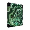 thumbnail image 2 of Trademark Fine Art 'Malachite I' Canvas Art by Naomi McCavitt, 2 of 4