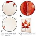 thumbnail image 3 of Designart "Beauty of Orange Maple Leaves I" Floral Canvas Wall Art - Traditional Orange Tree Maple Bedroom Canvas Wall Art, 3 of 6