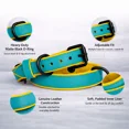 thumbnail image 3 of Collier pour Chien. Collier pour Chien en Cuir Véritable Fait Main – Turquoise avec Doublure Intérieure Jaune, Boucle Réglable. Buddies Collars, 3 of 5