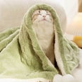 thumbnail image 3 of Tnobhg Pet Blanket Warm Soft Comfortable Dogs Cats Plush Blanket Thickened Warm Pet Sleeping Mat Pet Supplies, 3 of 7