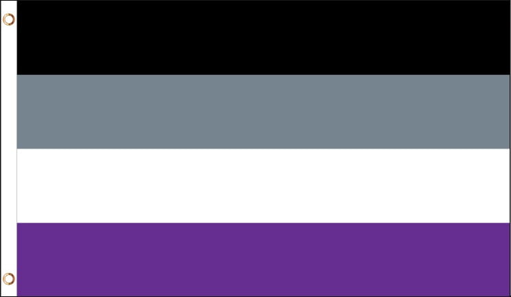 Asexual Rainbow Pride Lgbt Polyester 3x5 Foot Flag Gay Lesbian Bisexual