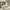 White, variant on Twin Daybed Frame with Twin Size Trundle for Kids Teens Adults, Wood Daybed with Slats for Bedroom, No Box Spring Needed, Espresso