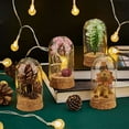 thumbnail image 5 of 4pcs Glass Display Dome Cloche Glass Bell Jar with Cork Base Small Glass Bottles Dome Decorative Jars Display Case, 5 of 7