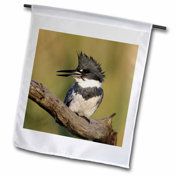 3dRose, Belted Kingfisher bird, Rio Grande Valley, Texas - NA02 RNU0400 - Rolf Nussbaumer, 18 x 27 inch Garden Flag
