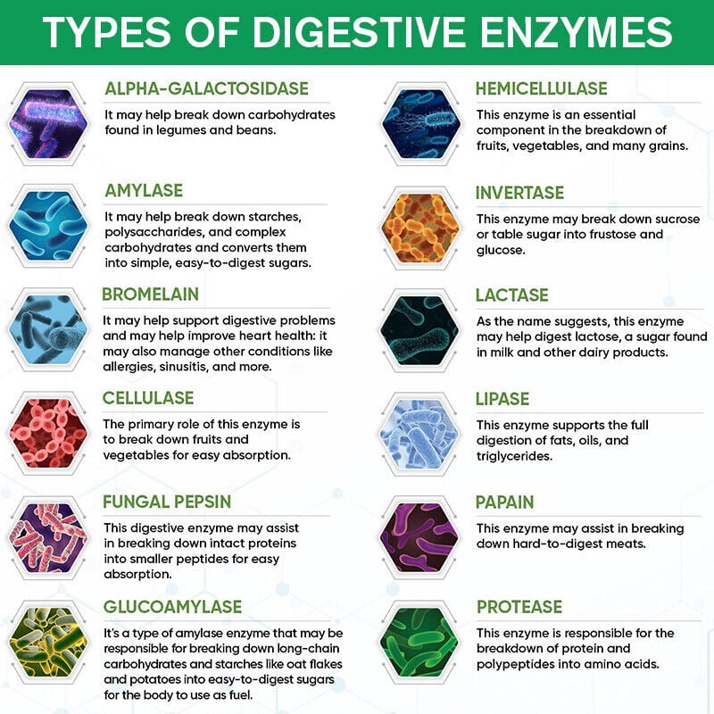 (2 Bottles)Digestive Enzymes with Probiotics and Prebiotics Supplement, Organic Vegetarian Formula, Improves Digestion and Absorption, Relieves Constipation and Bloating