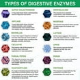 thumbnail image 6 of (2 Bottles)Digestive Enzymes with Probiotics and Prebiotics Supplement, Organic Vegetarian Formula, Improves Digestion and Absorption, Relieves Constipation and Bloating, 6 of 7