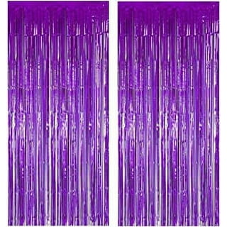 LoveKess Clothing - Purple Tinsel Curtain Party Backdrop 