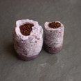 thumbnail image 2 of Pure Coconut Coir Netted Seed Starting Pellets - 42mm - Pack of 50 - Sustainable, Renewable, Unamended - Superior to Peat Plugs - High Water Holding - Minimize Root Loss & Transplant Shock, 2 of 6