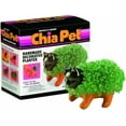thumbnail image 1 of Kitten Chia Pet, 1 of 1
