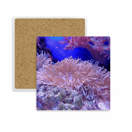 

Ocean Science Nature Picture Square Coaster Cup Mat Mug Subplate Holder Insulation Stone