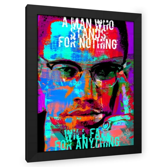 Stephen Chambers 19x24 Black Modern Wood Framed Wall Art Titled - Malcolm X