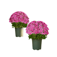 thumbnail image 4 of Artificial Outdoor Flowers Bouquets (Set of 5) UV Resistant Fade-Proof Fake Flowers for Front Porch Planters, Patio, Garden and Home Decor, 4 of 9