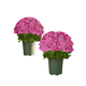 thumbnail image 1 of Flores Artificiales Al Aire Libre 5 Ramos de Atardecer Al Aire Libre Flores Artificiales Ramo de Flores Artificiales, 1 of 1