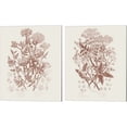thumbnail image 1 of Great Art Now Flowering Plants Brown by Wild Apple Portfolio 2 Piece Canvas Art Set Each 12"W x 15"H, 1 of 3
