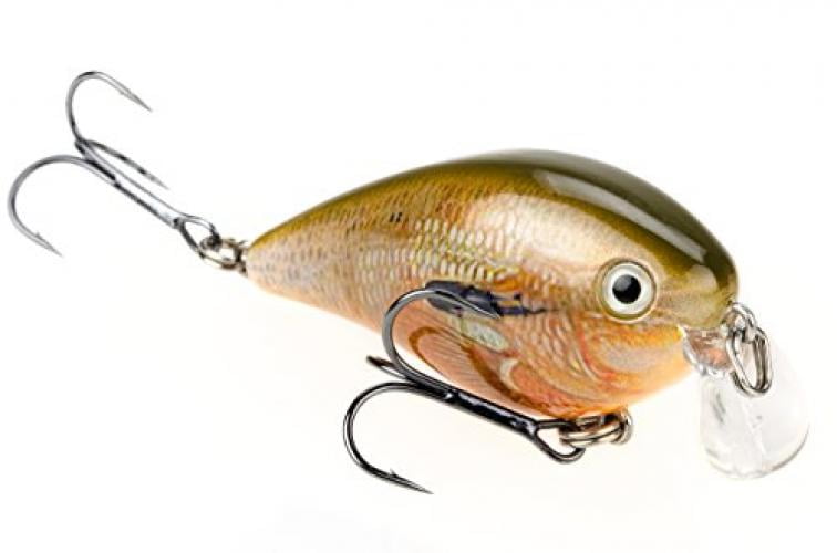 kvd 1.5 crankbait