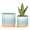 blue, variant on Ceramic Plant Pots 6 Inch, Set of 2 in Orange and Red, Indoor Flower Pots with Drainage Hole for Succulents, Herbs, Home Decor