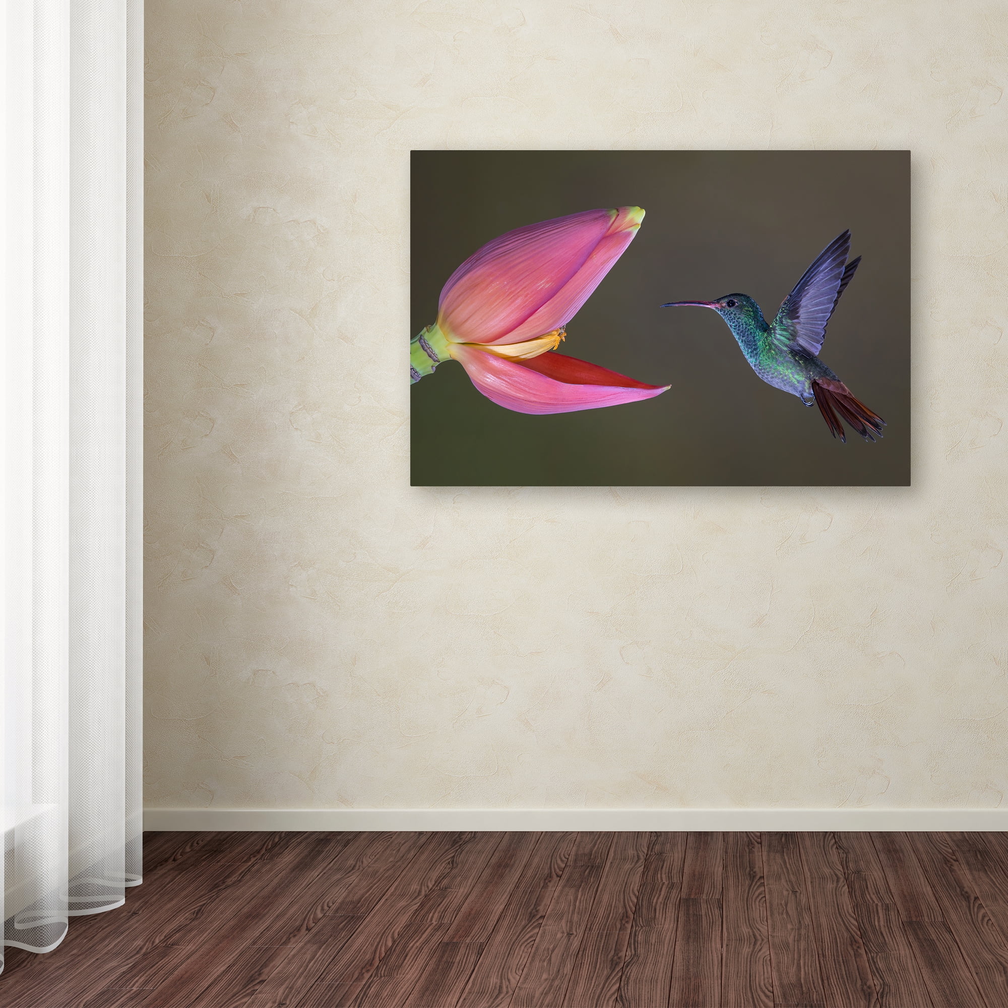 Trademark Fine Art 'Target Practice' Canvas Art by Greg Barsh