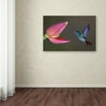 thumbnail image 3 of Trademark Fine Art 'Target Practice' Canvas Art by Greg Barsh, 3 of 3
