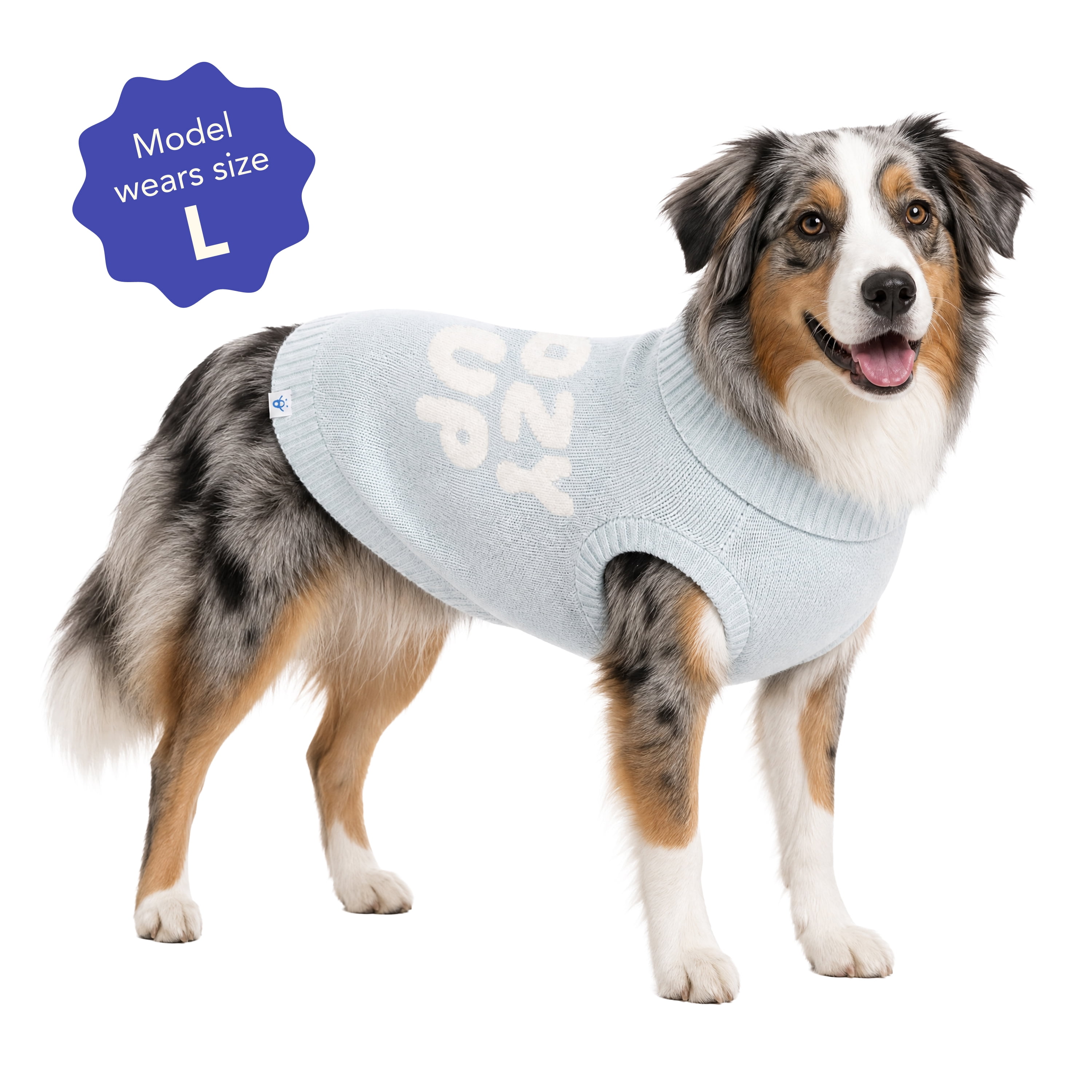 Oodles Cozy Pup Fall Dog Sweater, Blue, Large