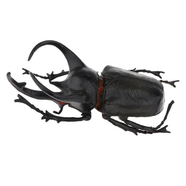 lionlar 3x Lifelike Plastic Beetle Insect Figures Bugs Model for