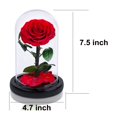 thumbnail image 3 of Rosas preservadas hechas a mano en cúpula de cristal, regalos del día de San Valentín para ella, rosas rojas reales que duran más de un año, rosas de cristal eternas, 3 of 5