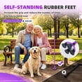 thumbnail image 3 of BeneCane Folding Cane for Men and Women, Lightweight Quad Cane for Seniors, Adjustable Aluminum Walking Cane with Self-Standing Base and Travel Bag, 3 of 7