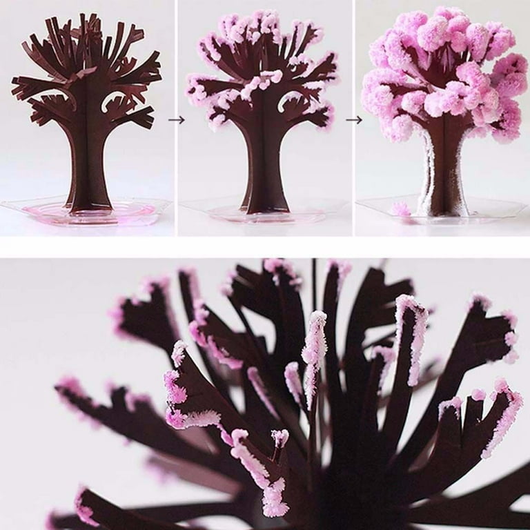 Magic Sakura Miniature Tree, Novelties Paper Tree Flowering, 9.4x14cm Magic  Growing Tree Desktop Cherry Blossom Educational Toys, Pink PINK