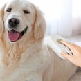 thumbnail image 3 of axGear Pet Grooming Brush Cat Dog Hair Cleaning Massage Comb w/ Water Liquid Inlet, 3 of 9