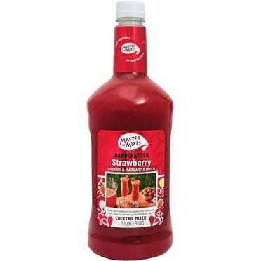 Strawberry Daiquiri/Margarita Mixer