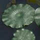 thumbnail image 4 of 2 plantas flotantes de loto para acuario, decoración de acuario, 17 cm 17cm, 4 of 9