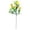 C, variant on Artificial Frangipani Flowers|Lifelike Real Touch Plumeria Flowers with 2 Stems | Perfect for Wedding Bouquets,Home Decor,and Party Decorations