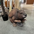 thumbnail image 6 of Beaver Life Size Statue, 6 of 7