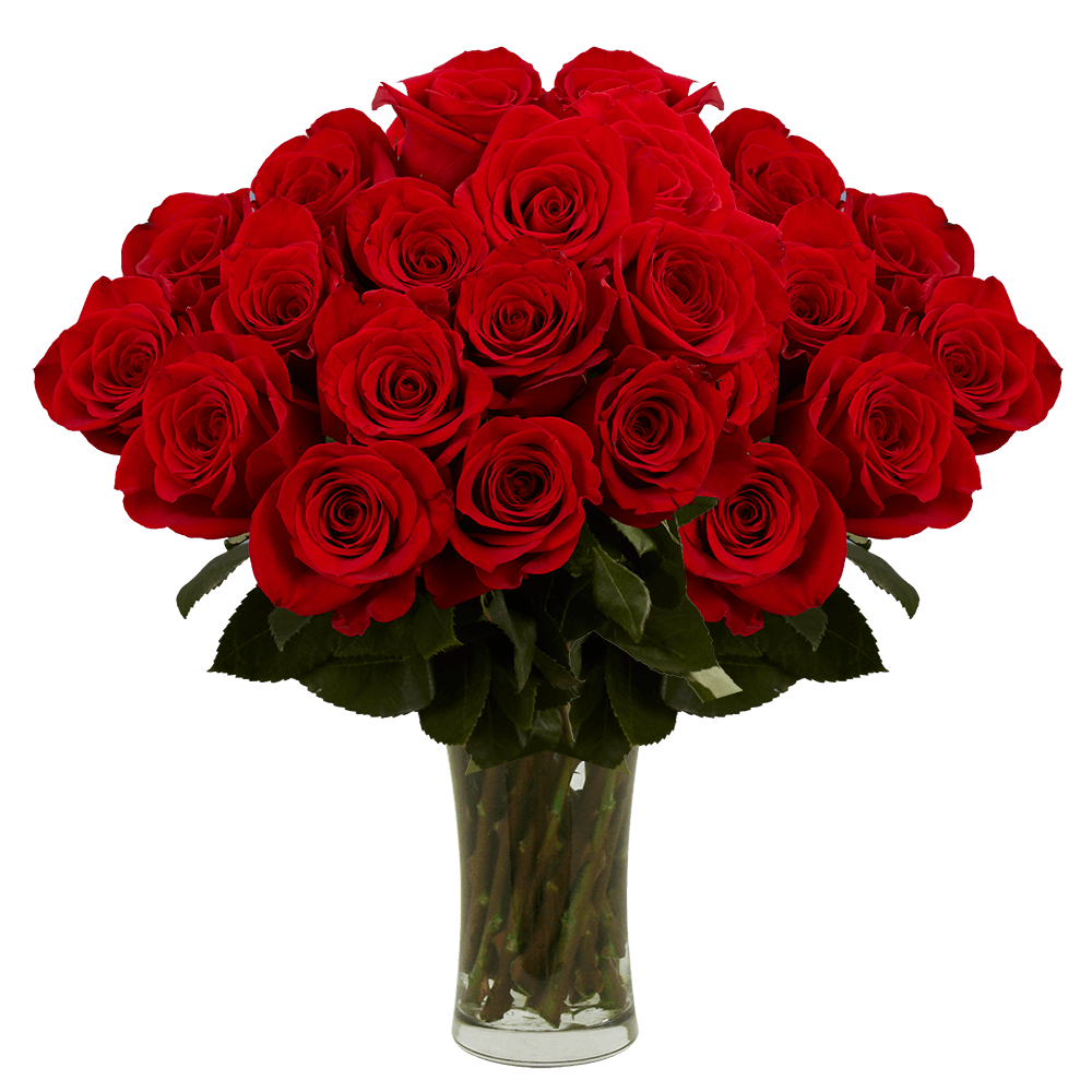 Red Roses- 50 Fresh Flowers for Birthdays, Weddings or Anniversary - image 4 of 4