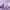 Light Purple, variant on Lirex Adult Bed Pillowcases, 2 Pack, 100% Cotton, 300 Thread Count, King 20x36, Blue