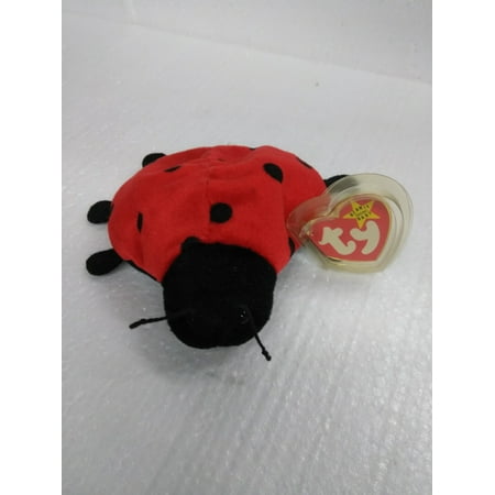 LADY BUG BEANIE BABY TY LUCKY Bobblehead