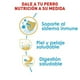 thumbnail image 2 of Alimento Croqueta Perro Royal Canin Puppy Shih Tzu 1.1kg, 2 of 2