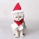 thumbnail image 2 of Adorable y cálido disfraz navideño de invierno para gato y perro. S, 2 of 9