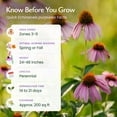 thumbnail image 2 of Purple Coneflower Seeds, 3,800 Perennial Flower Seeds, Deer-Resistant Perennial Wildflower Seeds - Created By Nature, 2 of 6