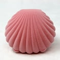thumbnail image 5 of UDIYO Lovely Shell Shape Display Box Necklace Ring Earrings Jewelry Storage Case Gift Box, 5 of 6