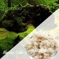 thumbnail image 2 of Moss Preserved Artificial Moss 8.8 oz Natural Fresh Green Moss for Craft Arts Floral Project Wall Decor Table Decor Wedding Centerpieces Garden Terrariums Decoration, 2 of 6