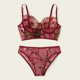 thumbnail image 3 of Mujeres Transparente Trajes De Baño Sujetadores Conjunto Floral Ropa Interior Lencería Bragaspangjing, 3 of 4