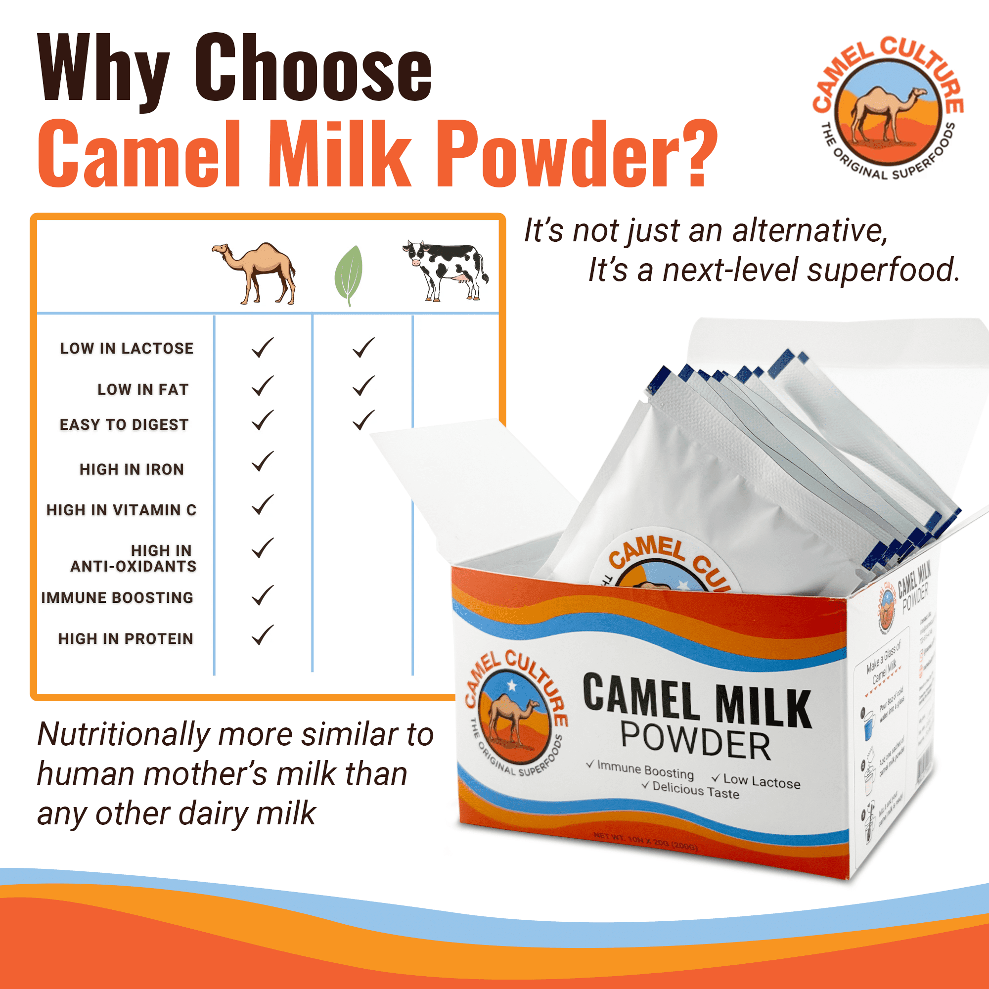 Camel Culture Dry Camel Milk Powder (10 Sachets) – 20g Nutrient Dense, Low Lactose Powdered Milk Packets – Concentrated, Pasteurized Traditional Dairy Alternative - Health Drink Powder for Smoothies
