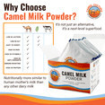 thumbnail image 3 of Camel Culture Dry Camel Milk Powder (10 Sachets) – 20g Nutrient Dense, Low Lactose Powdered Milk Packets – Concentrated, Pasteurized Traditional Dairy Alternative - Health Drink Powder for Smoothies, 3 of 7