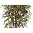 thumbnail image 4 of Vintage Home® 8ft Silk Bamboo Tree with Decorative Planter, 4 of 4