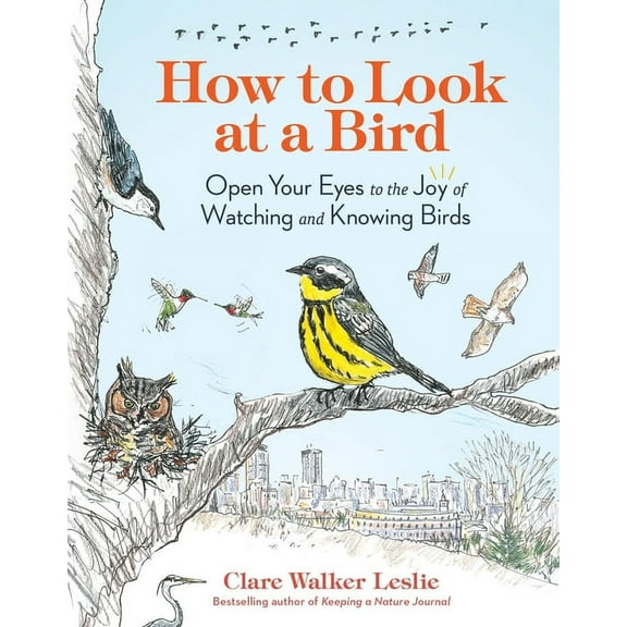 How to Look at a Bird: Open Your Eyes to the Joy of Watching and Knowing Birds, (Paperback)
