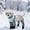 Gray, variant on Waterproof Dog Boots with Suspenders Anti-Dirt Paw Protectors Non- Outdoor Rain and Mud Gear for Dog Walks(Yellow,XS)