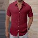 thumbnail image 1 of Blusa y camisa de manga corta con cuello vuelto para hombre, color liso, informal, holgada, con botones, de poliéster, 1 of 7